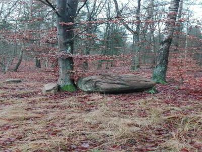 Ostróda wieś DURĄG-DZIAŁKA 3000 M2 -CENA 42.000