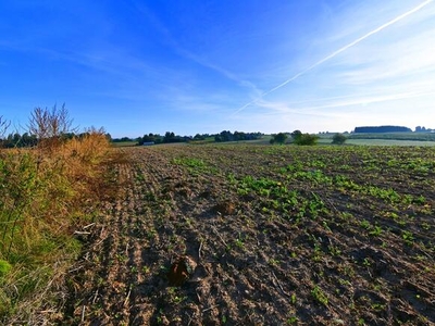 Działka 53ar w doskonałej cenie - blisko Nałęczowa