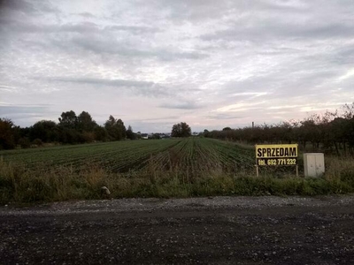 Działka budowlana ul. Braterstwa Broni (Karolówka)