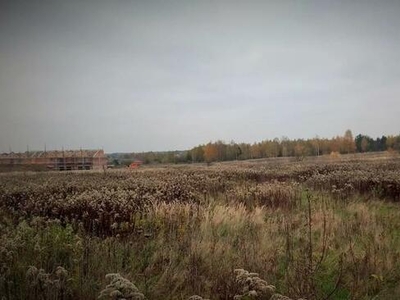 Działka niedaleko lasu Wilkszyn dobra inwestycja