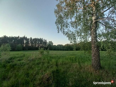 Działka w zacisznym miejscu Chełstówek/Twardogóra