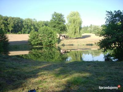 Działka rekreacyjno-budowlana