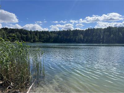 Działka Sprzedaż Rakownia, Polska