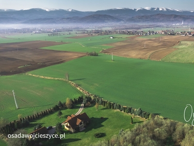 Działka budowlana Wojcieszyce, ul. Jagodowa