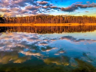 Działka inna Płock, ul. Letniskowa