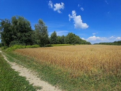 Działka rolna Karczmiska Drugie