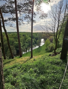 Działka siedliskowa Grodnia