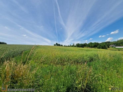 Działki, Garliczka