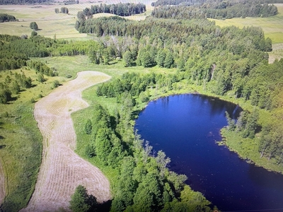 Własne JEZIORO i LAS na MAZURACH