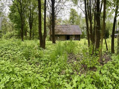 Krakowski, Zabierzów, Radwanowice