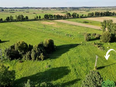 Nakielski, Nakło Nad Notecią, Występ