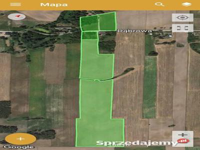 Sprzedam grunty rolne 7,685ha