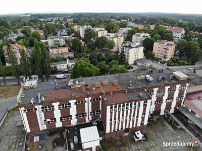 Hala 1200 m2 centrum magazyn produkcja winda