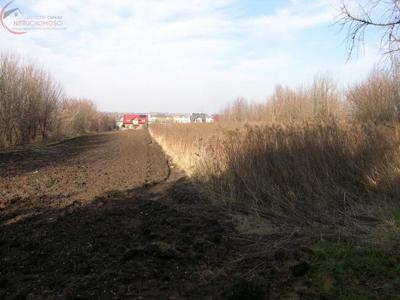 Działka budowlana Proszowice