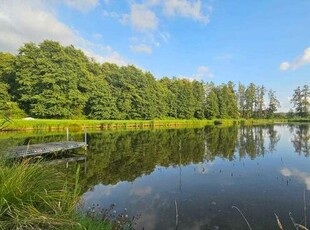 Dom Kraśnik, działka ze stawem, 1,35 ha