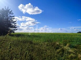 Działka budowlana Krasnołęka