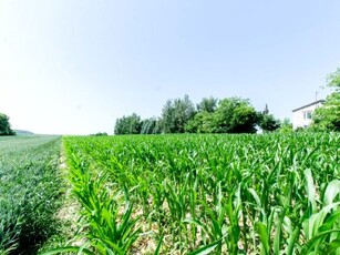 Działka budowlana Piotrków Drugi