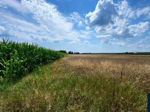 Działka budowlana, ul. Borowa