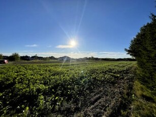 Działka budowlana, ul. Graniczna