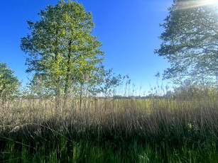 Działka budowlana, ul. Leśna