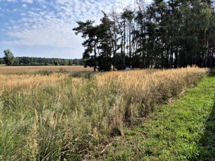 Działka budowlana, ul. Limonkowa