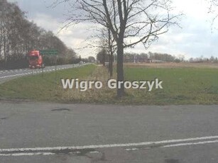 Działka inwestycyjna Bieniewo-Parcela