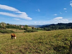 Działka inwestycyjna, ul. Królowej Polski