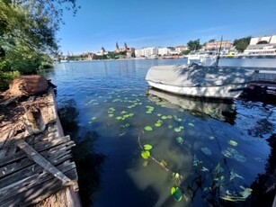 Działka rekreacyjna Szczecin