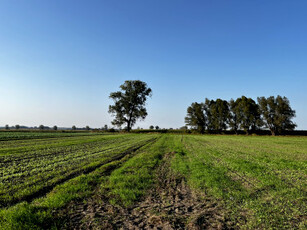 Działka rolna Skowarcz