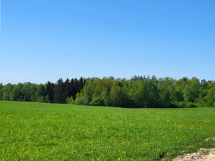 Działka rolna Stegny