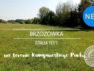 Działka rolno-budowlana Brzozówka