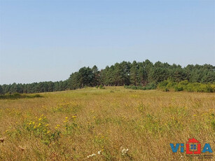 Działka rolno-budowlana Dąbrowa