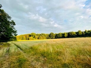 Działka rolno-budowlana, ul. Sosnowa