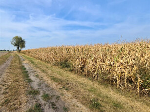 Działka rolno-budowlana Wielowieś