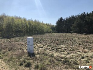 Rynarzewo działka 950m2 ul.Powstańców Wielkopolskich