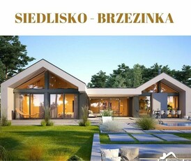 SIEDLISKO - BRZEZINKA