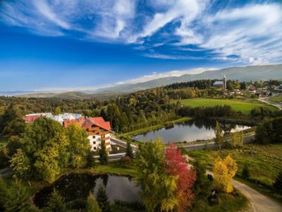 Lokal komercyjny hotel