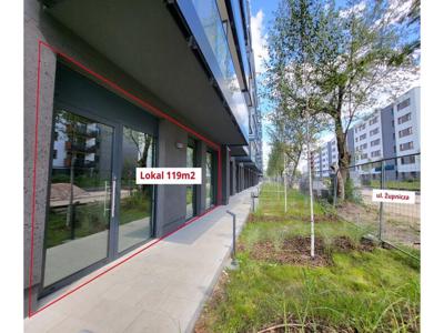 Lokal użytkowy do wynajęcia 119,27 m², oferta nr 517/6700/OLW