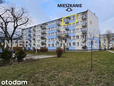 Mieszkanie, 58 m², Kutno