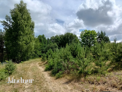 Unikalna działka w sąsiedztwie lasu o pow. 815m2