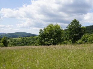 Myślenicki (pow.), Pcim (gm.), Stróża