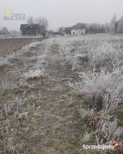 Działka siedliskowa na sprzedaż w Olszowcu