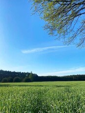 Urokliwa działka budowlana przy lesie - blisko Łodzi