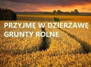 Wydzierżawię grunty rolne / dzierżawa gruntów rolnych