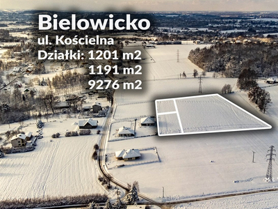 Bielski, Jasienica