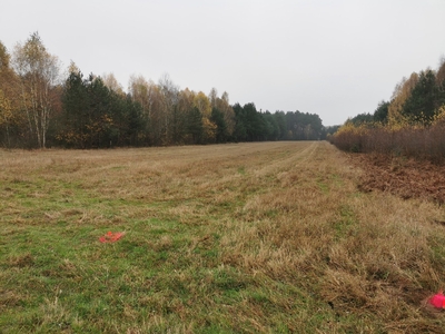 Działka 3000m2, Janopole, gm. Nowe Miasto, pow. Płońsk