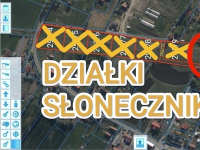 Działka 30.34 ar Morąg - Słonecznik