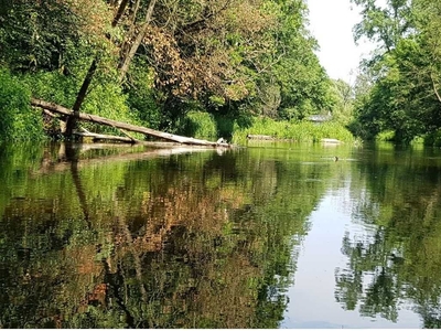 Działka blisko lasu i rzeki Wkry 30 ar ( możliwy podział na 2x 15 ar)