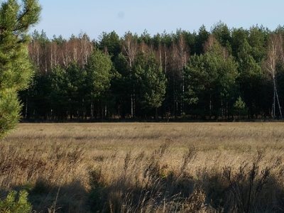 Działka budowlana Izabelin