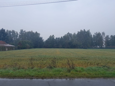 Działka budowlana, usługowa- Stare siołkowice